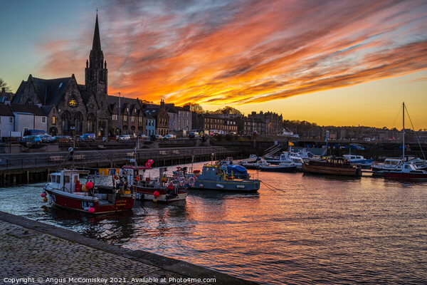 Fishing boats in Newhaven Harbour, Edinburgh Picture Board by Angus McComiskey