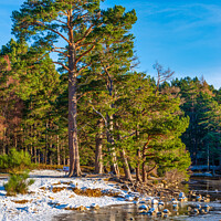 Buy canvas prints of Loch an Eilein in winter by Angus McComiskey