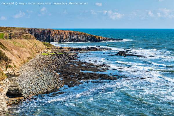 Rocky shoreline at Cullernose Point Northumberland Picture Board by Angus McComiskey