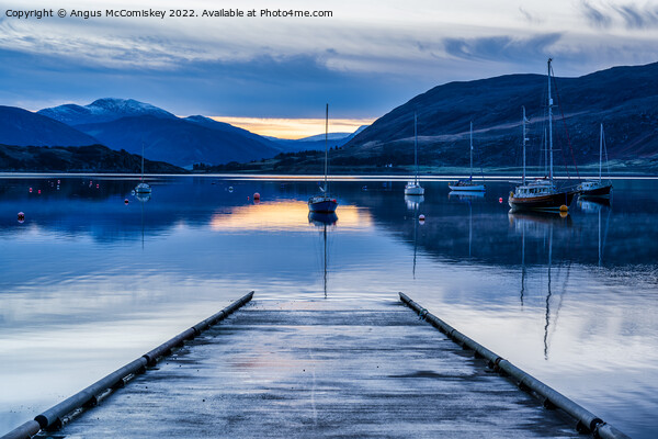Yachts moored in Ullapool harbour at daybreak Picture Board by Angus McComiskey