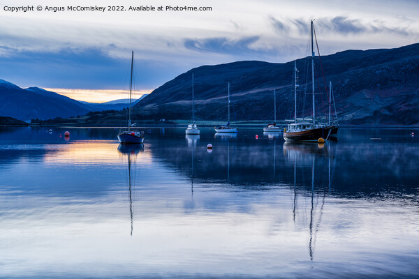Yachts moored on Loch Broom at daybreak Picture Board by Angus McComiskey