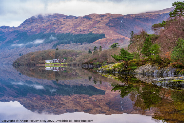 Rowardennan on Loch Lomond Picture Board by Angus McComiskey