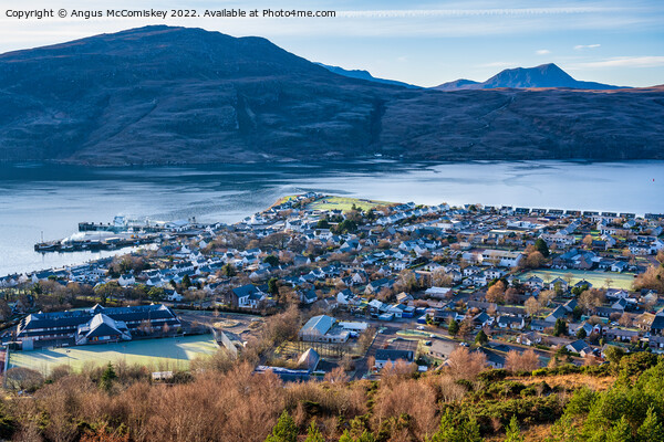 Looking down on Ullapool from Ullapool Hill Picture Board by Angus McComiskey