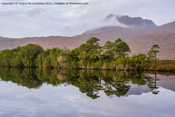 Loch Cul Dromannan reflections, Coigach Peninsula Picture Board by Angus McComiskey