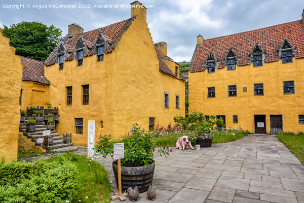 Culross Palace in Fife Picture Board by Angus McComiskey