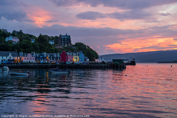Tobermory harbour at daybreak Picture Board by Angus McComiskey