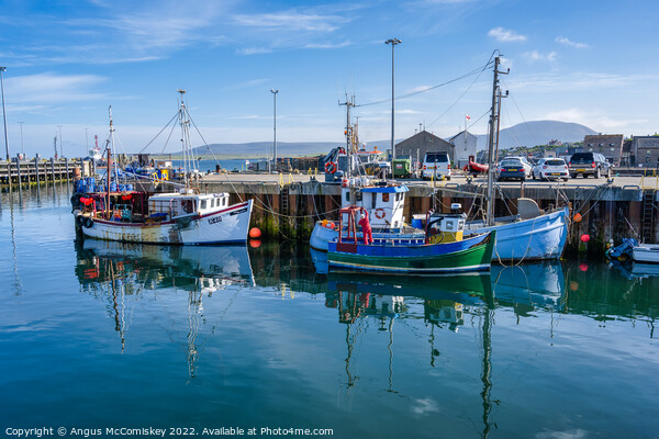 Fishing boats in Stromness harbour, Orkney Isles Picture Board by Angus McComiskey