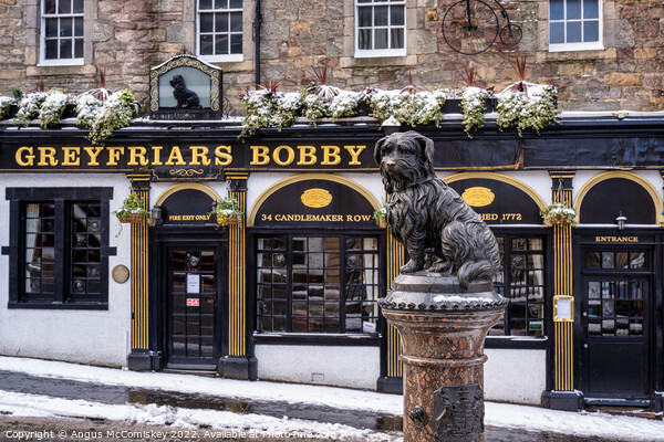 Statue of Greyfriars Bobby in snow, Edinburgh Picture Board by Angus McComiskey