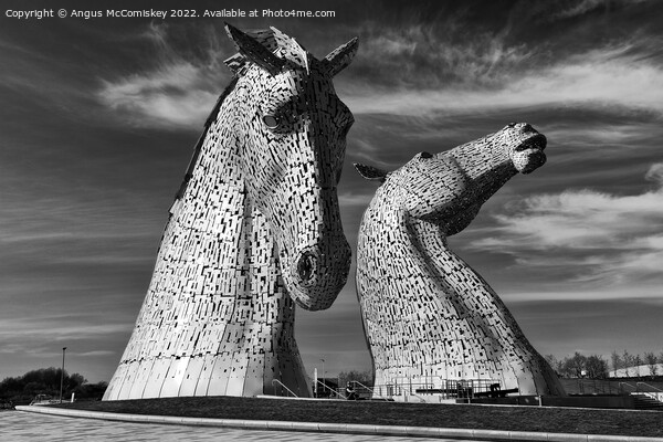 The Kelpies black and white Picture Board by Angus McComiskey