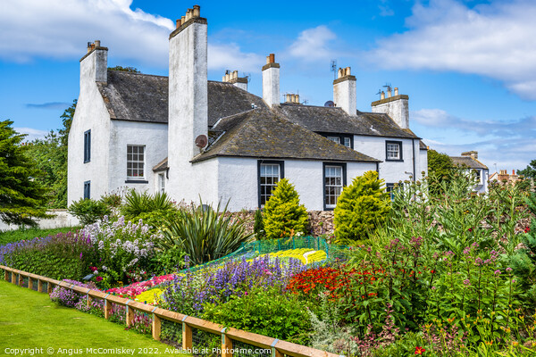 The Lodge Gardens in North Berwick, East Lothian Picture Board by Angus McComiskey