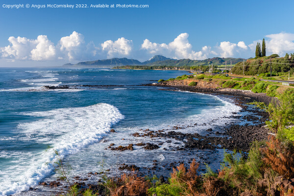Breakers on east coast of Kauai Island in Hawaii Picture Board by Angus McComiskey