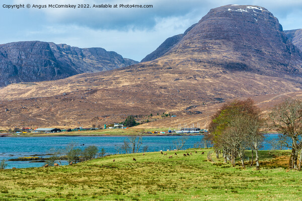 Beinn Bhan and Loch Kishorn, Applecross Peninsula Picture Board by Angus McComiskey