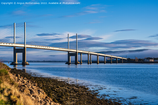 Kessock Bridge from Black Isle, Scotland Picture Board by Angus McComiskey