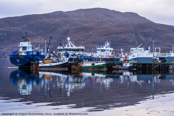 Ullapool harbour reflections, Wester Ross Picture Board by Angus McComiskey