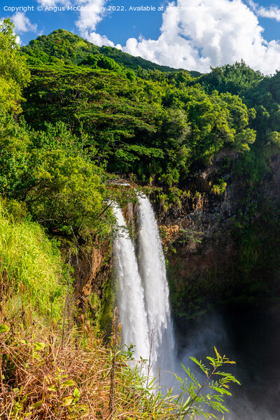 Twin cascades of Wailua Falls on Kauai in Hawaii Picture Board by Angus McComiskey