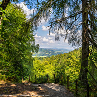 Buy canvas prints of View from the top of The Birks of Aberfeldy by Angus McComiskey