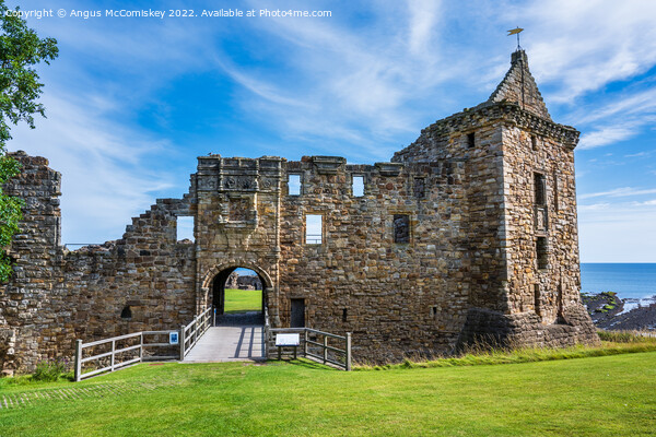 Ruins of St Andrews Castle, Kingdom of Fife Picture Board by Angus McComiskey