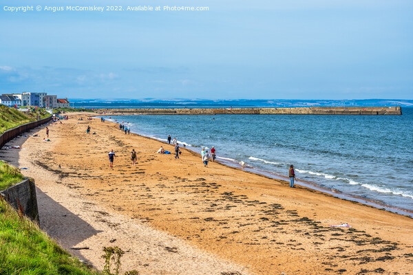 East Sands beach at St Andrews in Fife, Scotland Picture Board by Angus McComiskey