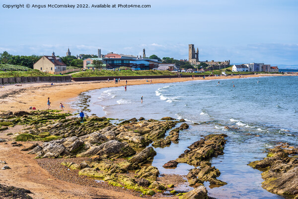 St Andrews East Sands beach in Fife, Scotland Picture Board by Angus McComiskey