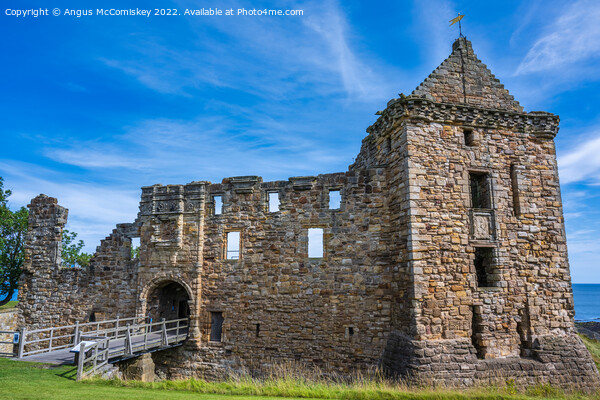 Entrance to St Andrews Castle, Kingdom of Fife Picture Board by Angus McComiskey
