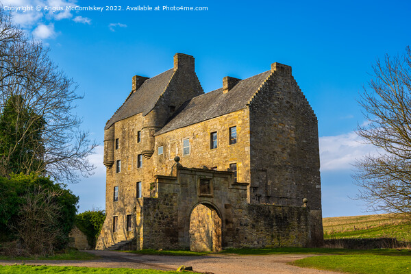 Midhope Castle, West Lothian, Scotland Picture Board by Angus McComiskey