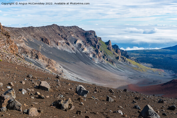 Volcanic landscape #2 Haleakala crater Maui Hawaii Picture Board by Angus McComiskey