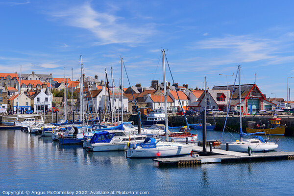 Boats moored in Anstruther marina, Fife Picture Board by Angus McComiskey