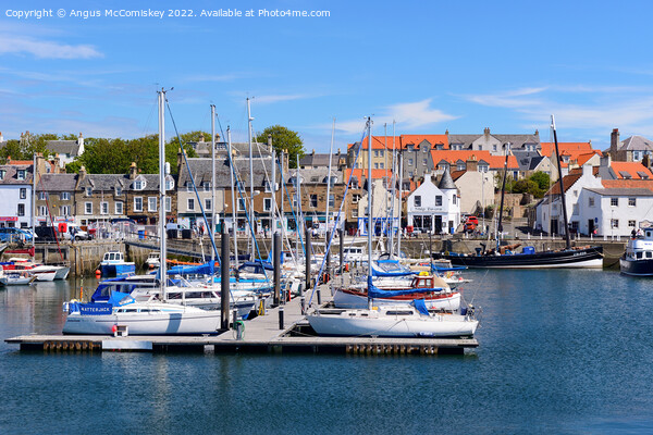 Pontoons in Anstruther marina in Fife Picture Board by Angus McComiskey