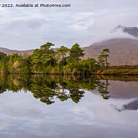 Buy canvas prints of Loch Cul Dromannan Coigach Peninsula panorama by Angus McComiskey