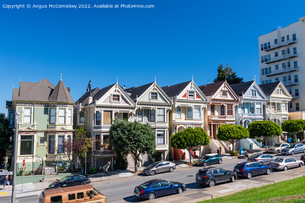 Painted Ladies of Alamo Square San Francisco Picture Board by Angus McComiskey