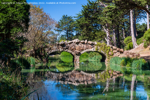 Stone Bridge in Golden Gate Park San Francisco Picture Board by Angus McComiskey