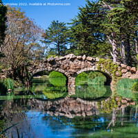 Buy canvas prints of Stone Bridge in Golden Gate Park San Francisco by Angus McComiskey