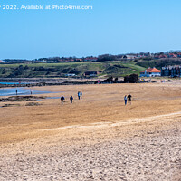 Buy canvas prints of Milsey Bay Beach North Berwick panorama by Angus McComiskey