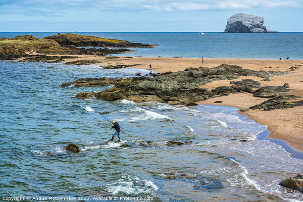 Sea angler and Bass Rock Picture Board by Angus McComiskey
