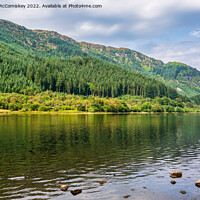 Buy canvas prints of Pine forest Loch Lubnaig Trossachs by Angus McComiskey