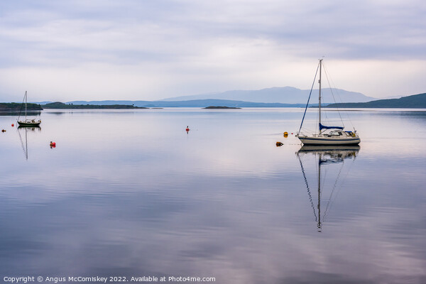 Tranquility at Ardmucknish Bay, Connel Picture Board by Angus McComiskey