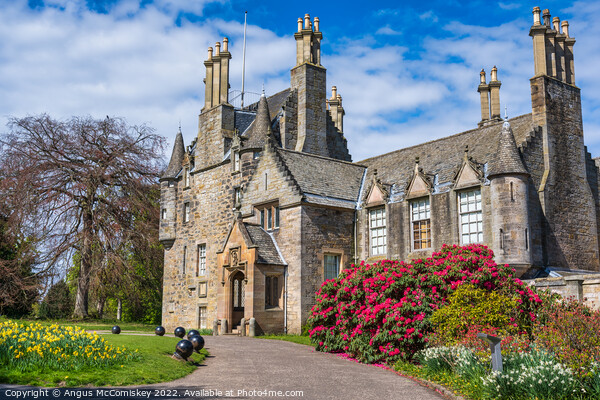 Spring flowers at Lauriston Castle, Edinburgh Picture Board by Angus McComiskey