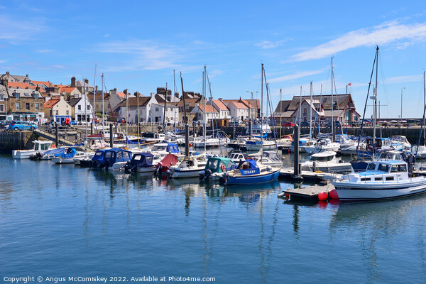 Yachts moored in Anstruther marina in Fife Picture Board by Angus McComiskey