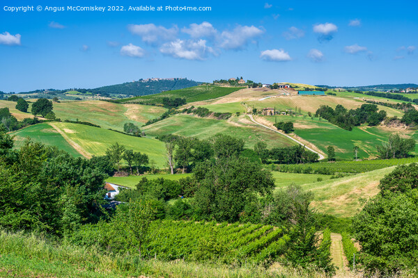 Tuscan landscape towards Montepulciano Picture Board by Angus McComiskey