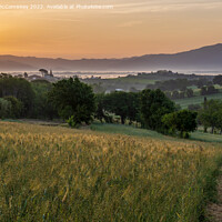 Buy canvas prints of Tuscan dawn by Angus McComiskey