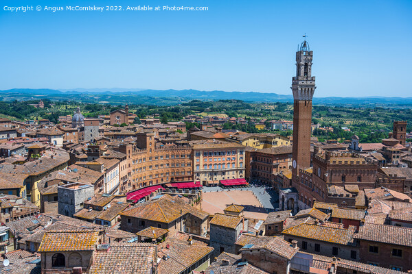 Piazza del Campo in Siena, Tuscany, Italy Picture Board by Angus McComiskey