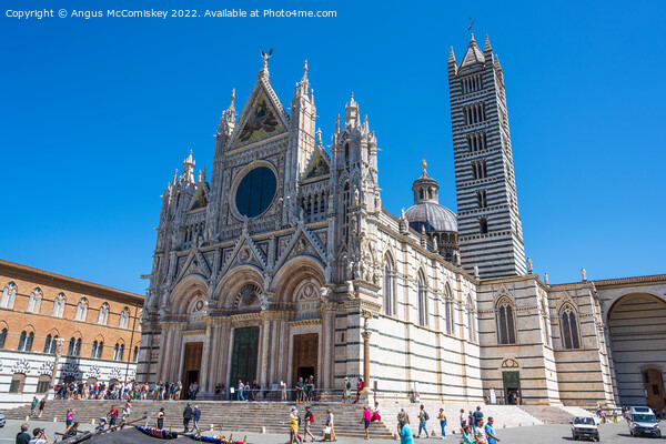Duomo di Siena, Tuscany, Italy Picture Board by Angus McComiskey