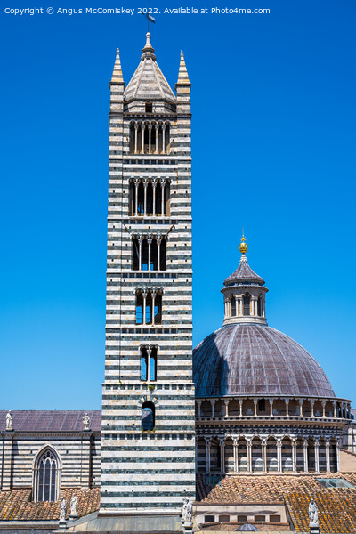 Campanile and Dome of Siena Duomo, Siena, Tuscany Picture Board by Angus McComiskey