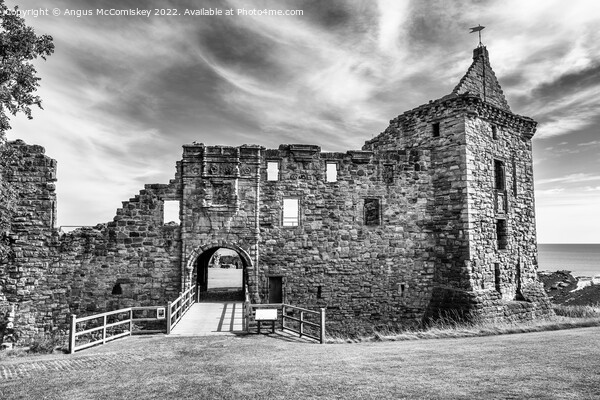 Ruins of St Andrews Castle, Kingdom of Fife, mono Picture Board by Angus McComiskey