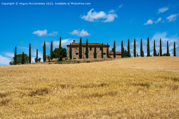 Tuscan stone farmhouse with cypress trees Picture Board by Angus McComiskey