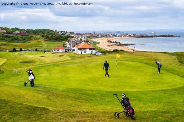 Golfers on green at Glen Golf Course North Berwick Picture Board by Angus McComiskey