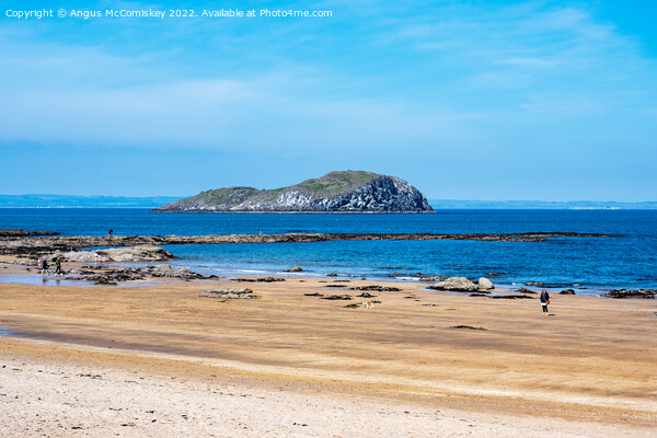 Milsey Bay and Craigleith Island North Berwick Picture Board by Angus McComiskey