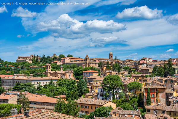 Across the rooftops of Perugia, Umbria Picture Board by Angus McComiskey