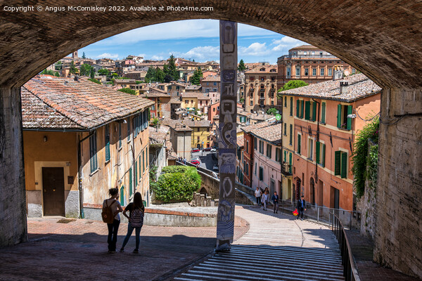 View from under the bridge in Perugia, Umbria Picture Board by Angus McComiskey