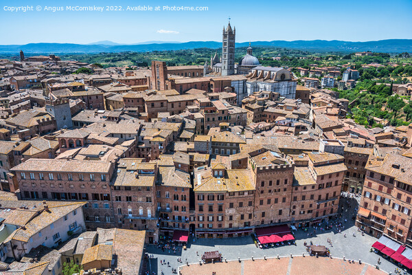 High above Piazza del Campo in Siena, Tuscany Picture Board by Angus McComiskey